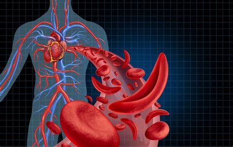onderzoek bloedvaten hart